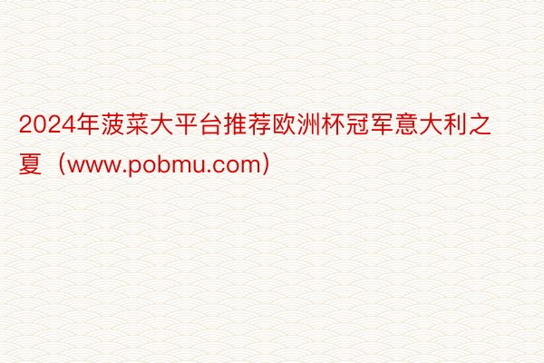 2024年菠菜大平台推荐欧洲杯冠军意大利之夏（www.pobmu.com）